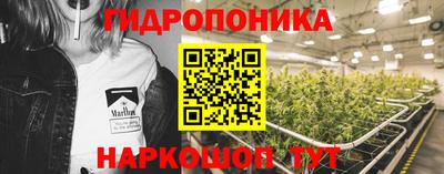твердый Коммунар
