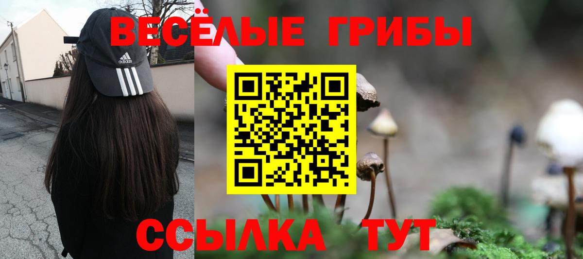 Галлюциногенные грибы MAGIC MUSHROOMS Кольчугино