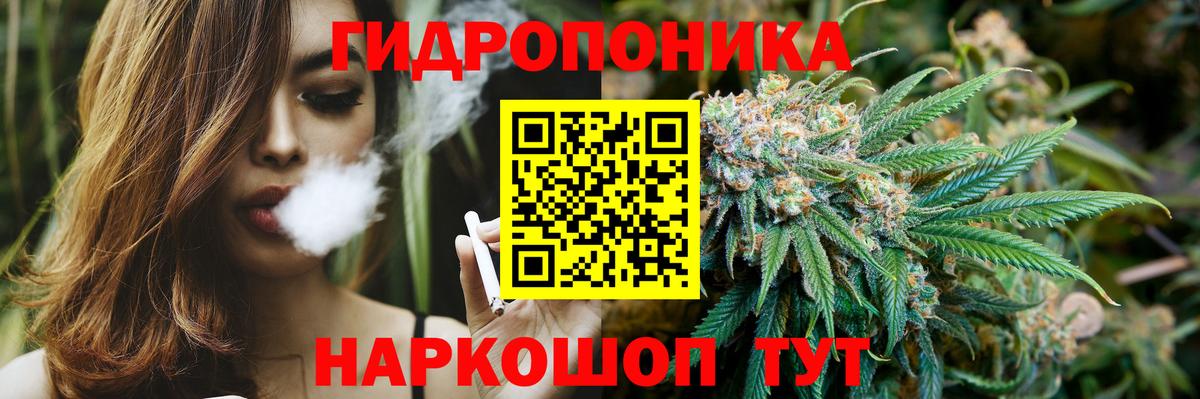 Бошки Шишки ГИДРОПОН Кольчугино